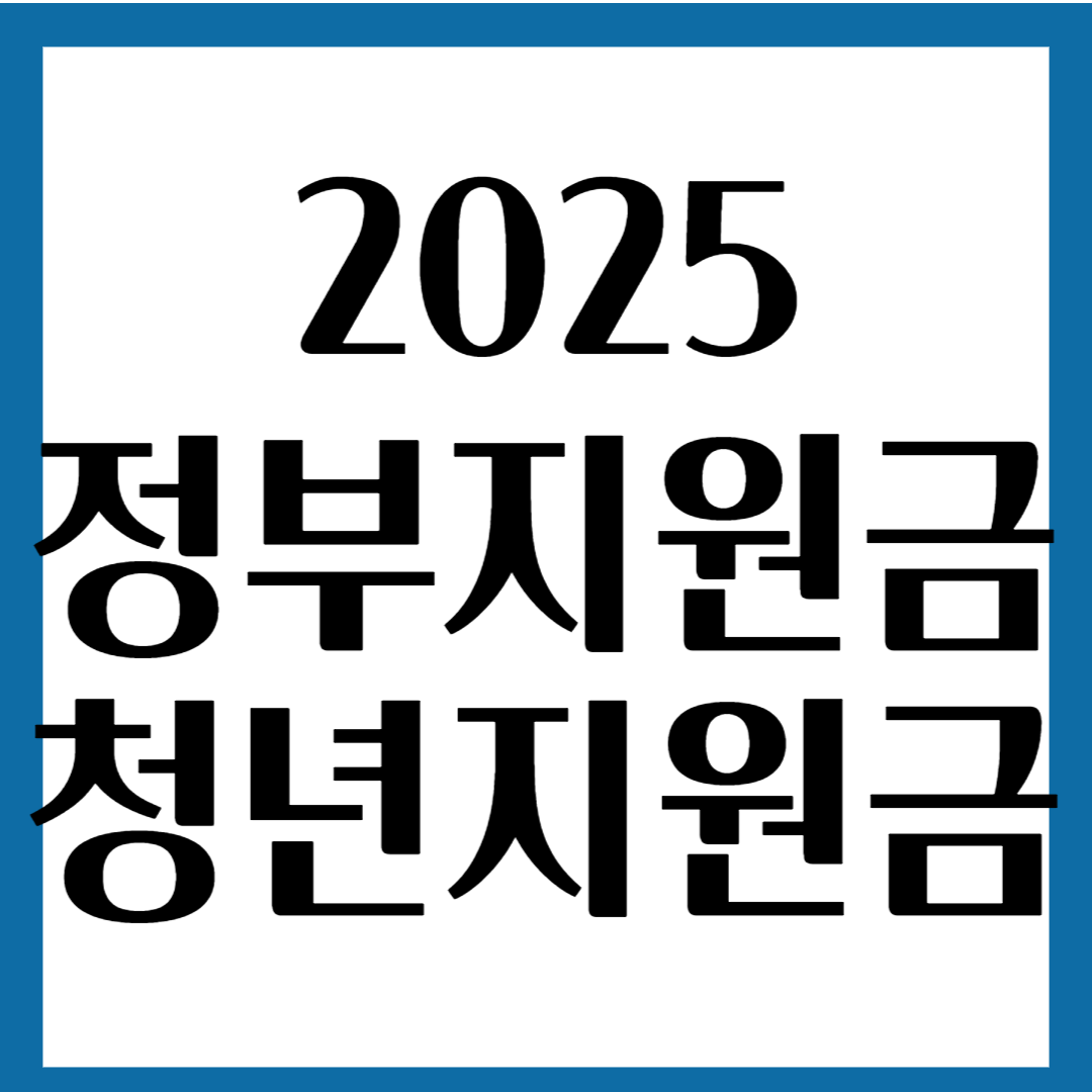 2025 정부지원금중 청년대상지원금