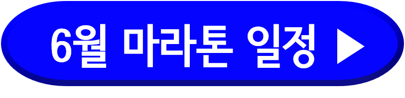 6월 마라톤