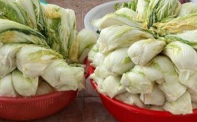 절임배추 쌓아둔 사진