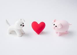 2026 개띠 신년운세 알아보기