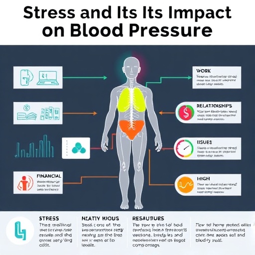스트레스가 교감신경 활성화하고 결국 혈압 상승으로 이어지는 인포그래픽