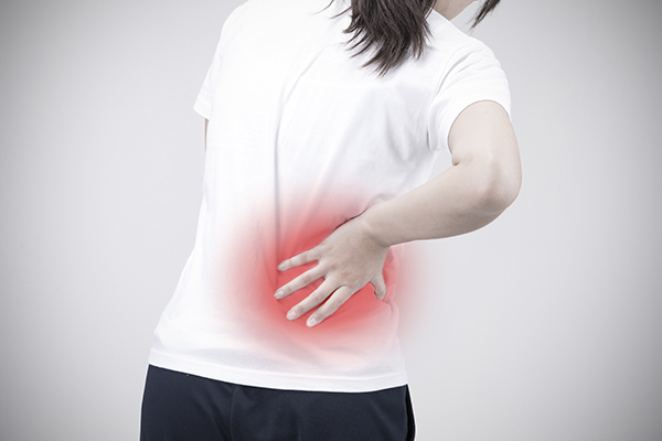 호관원 프리미엄 가격