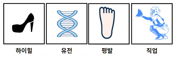 무지외반증 원인