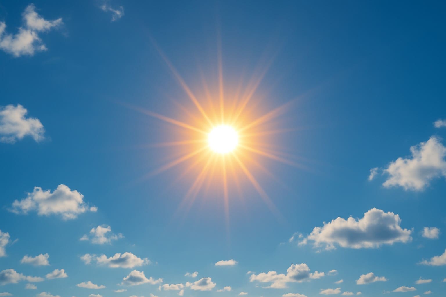 탈수를조심해야하는한여름의태양