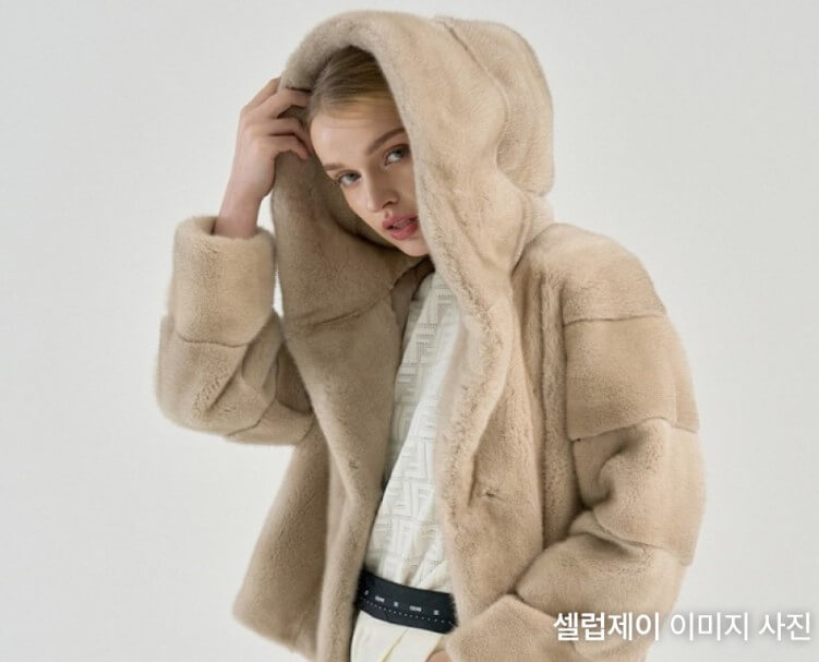 셀럽제이 이미지사진