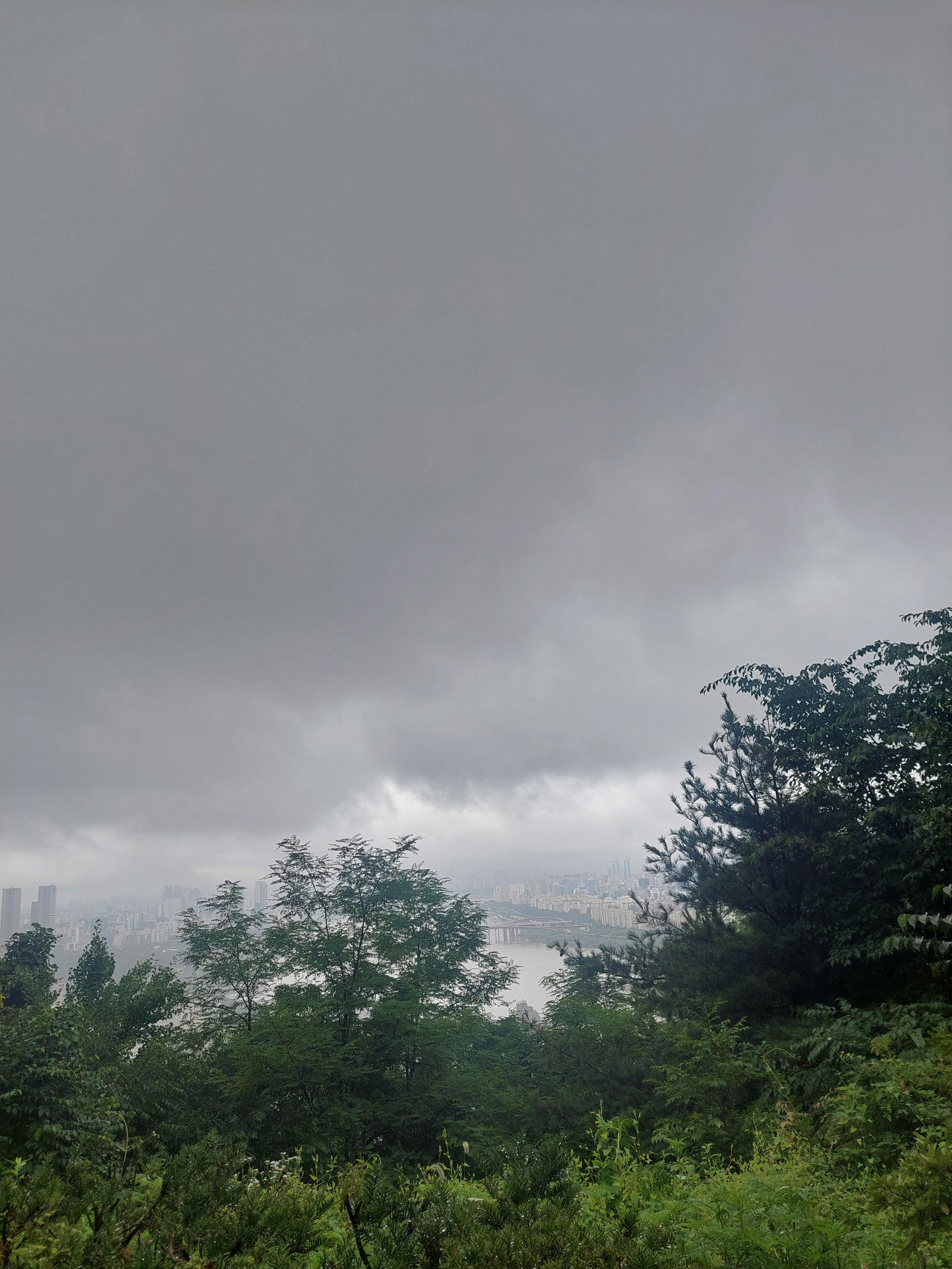 남산매봉산