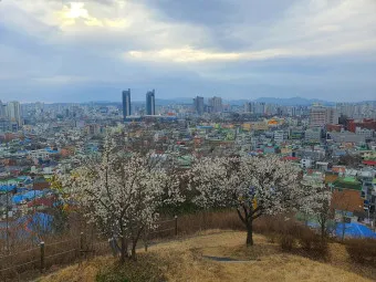 대전 가볼만한곳 베스트10 여행 놀거리 맛집_17