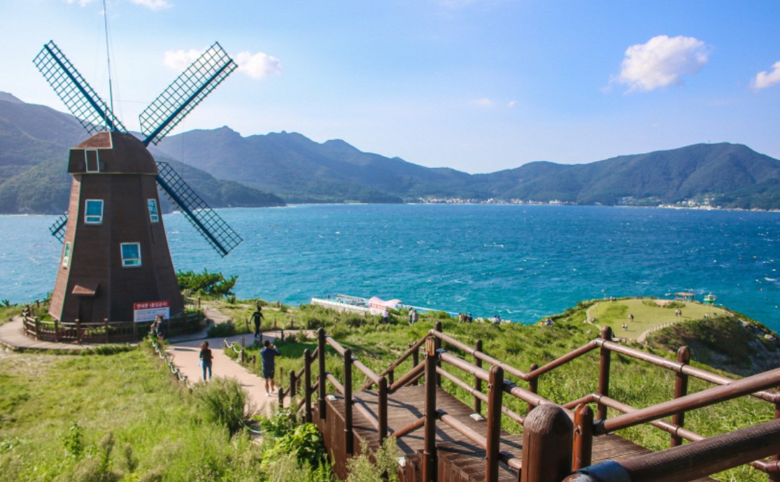 바람의 언덕 관련 사진