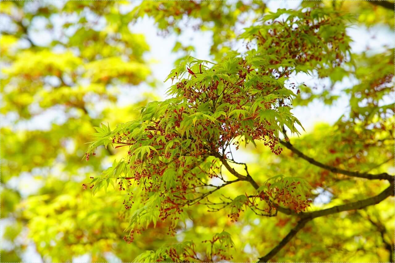 우리은행 정기예금 금리