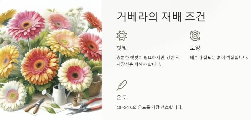 거베라의 재배조건 ppt이미지