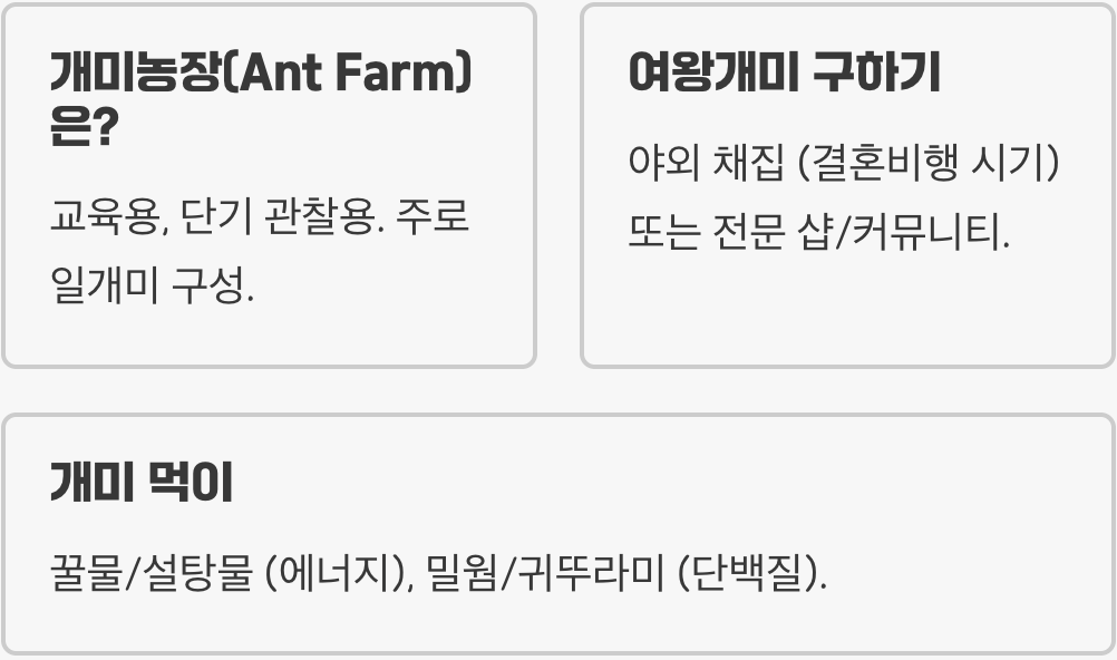 개미사육장 vs 개미집, 뭐가 다를까? (용어 정리)