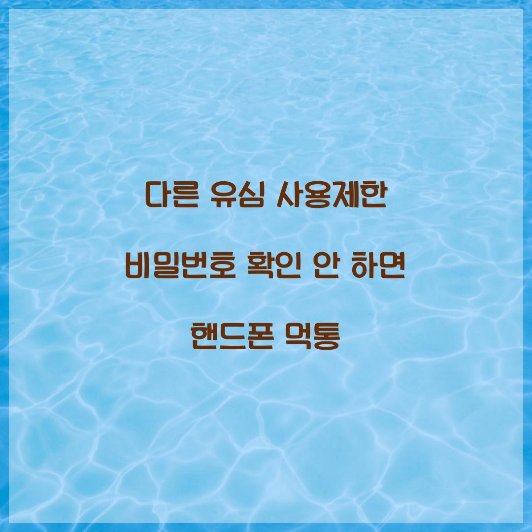 다른 유심 사용제한 비밀번호