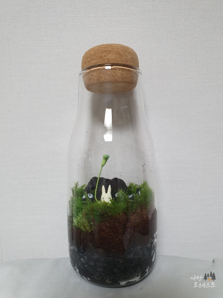 테라리움 만드는 방법 4