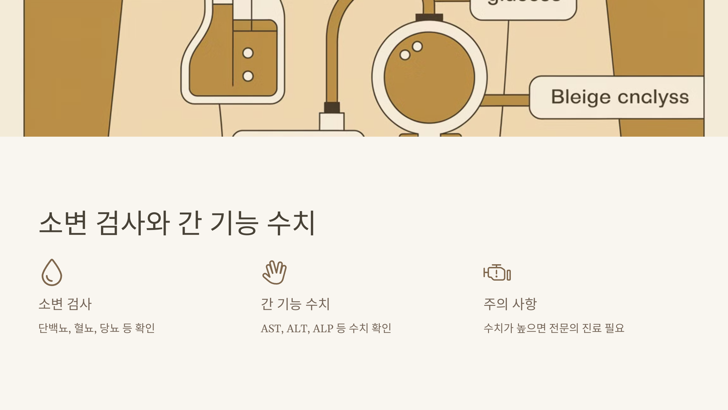 소변 검사와 간 기능 수치