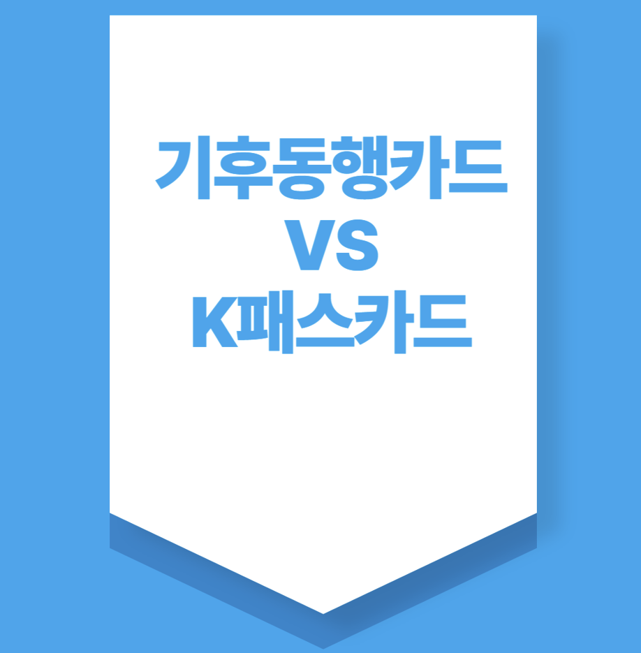 기후동행카드