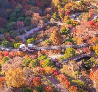 화담숲 입장료 할인 받는 법부터 예매 꿀팁까지는 총정리_3