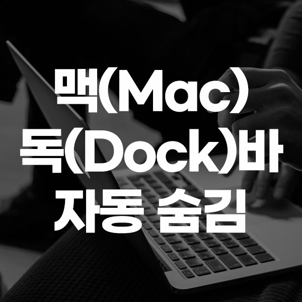 맥(Mac) 독(Dock)바 자동 숨김