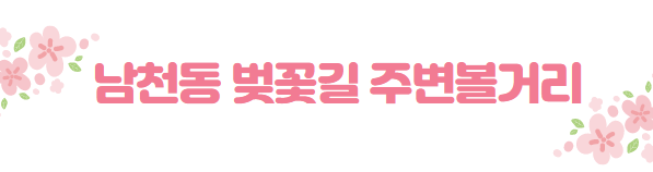 봄꽃 여행지