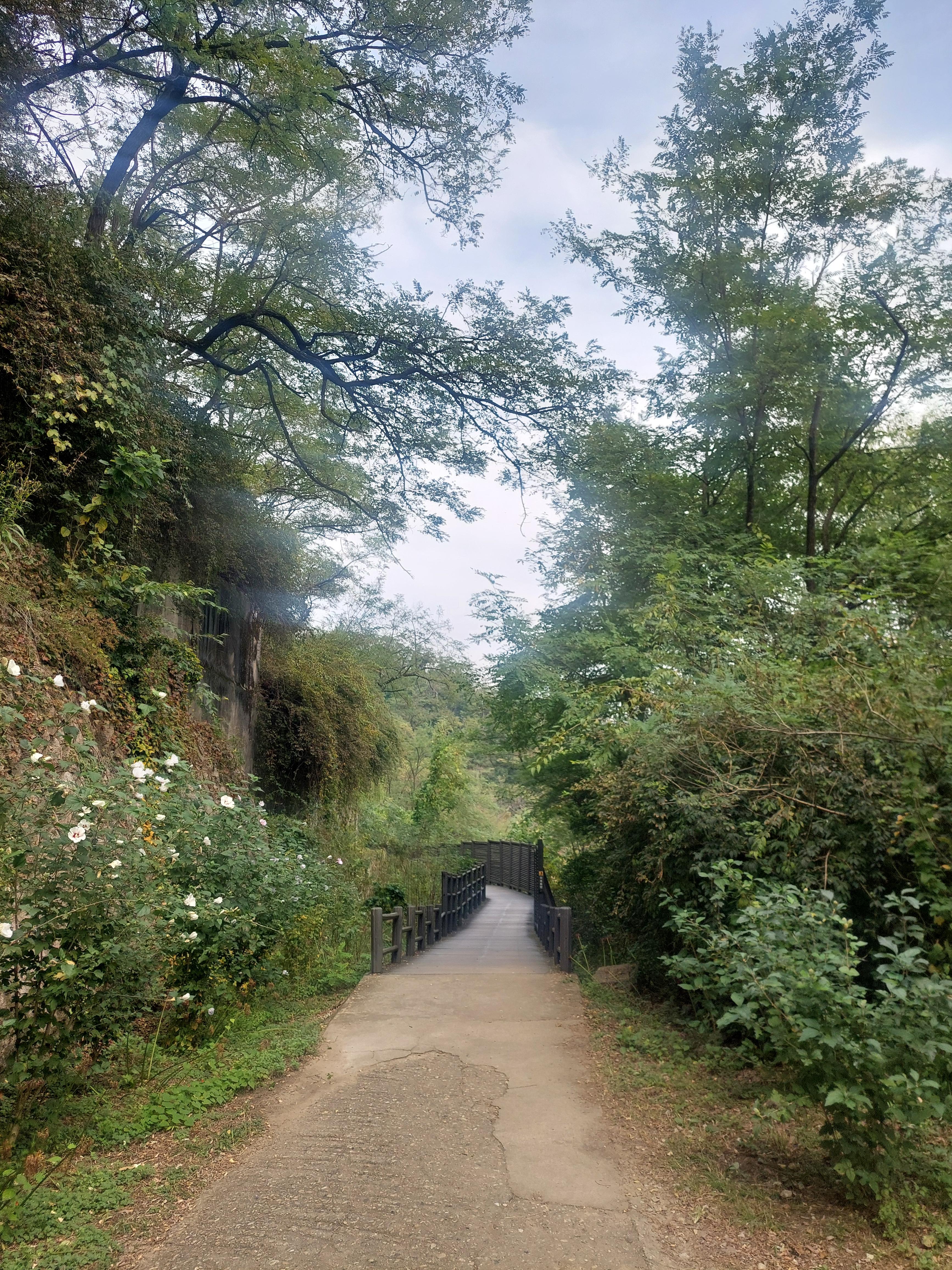 안산