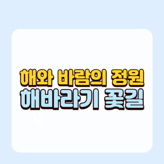해와 바람의 정원, 해바라기 꽃길
