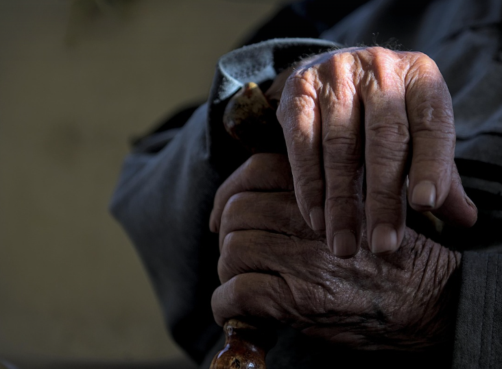 노화의 과학: 왜 우리는 늙는가?