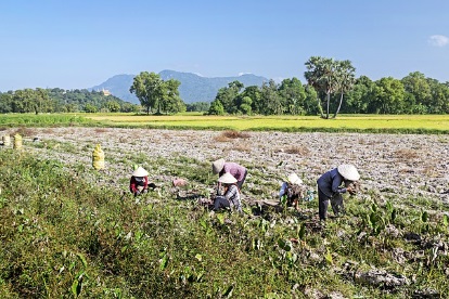 농지연금 지급방식 적용금리 및 지급정지사유