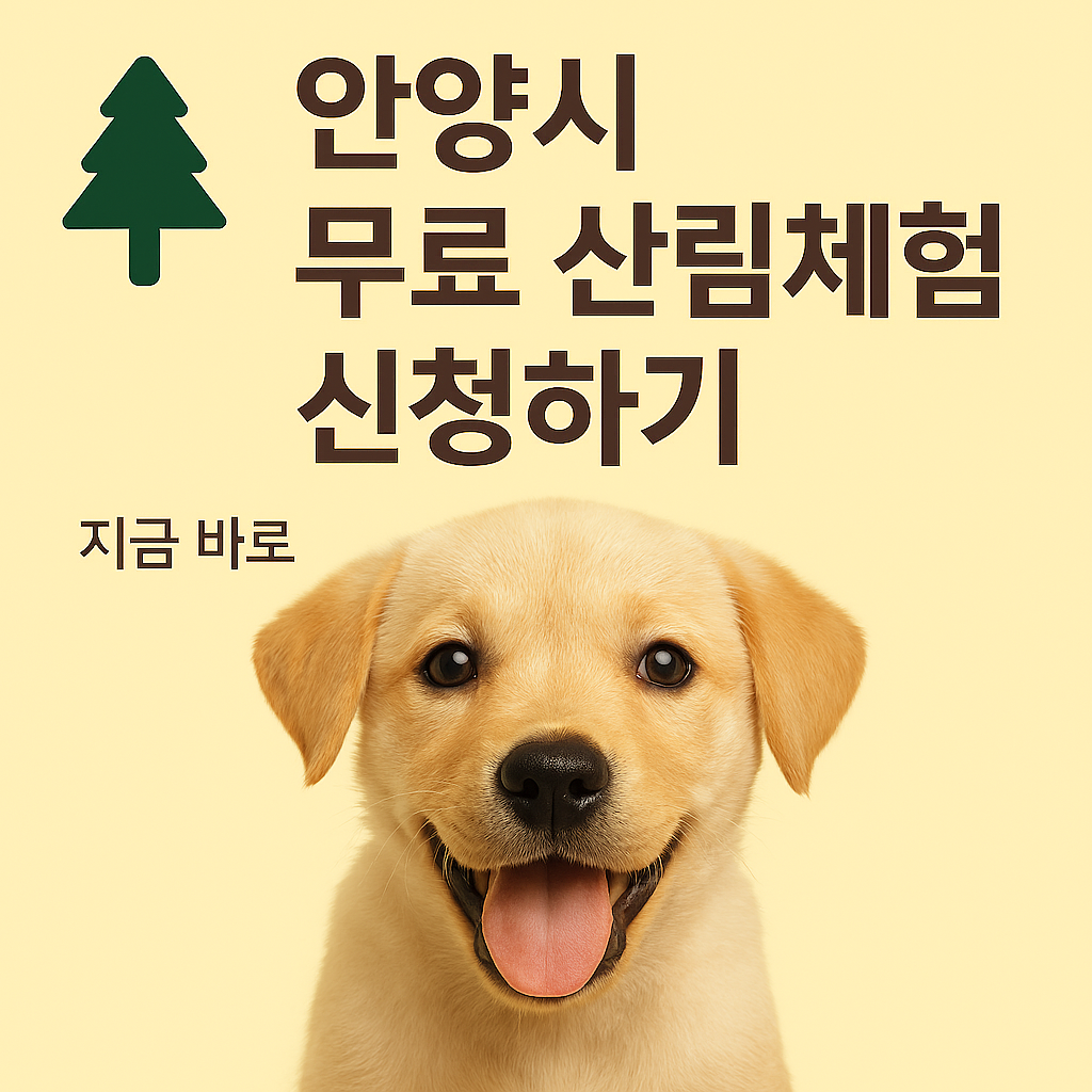 🌳 [안양시 무료 산림치유&middot;목공체험] 선착순 예약 꿀팁 총정리!