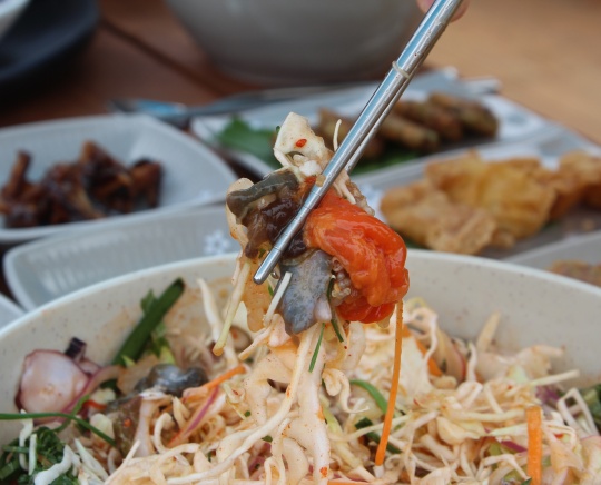 속초 물회 맛집, 속초어장물회 속초점