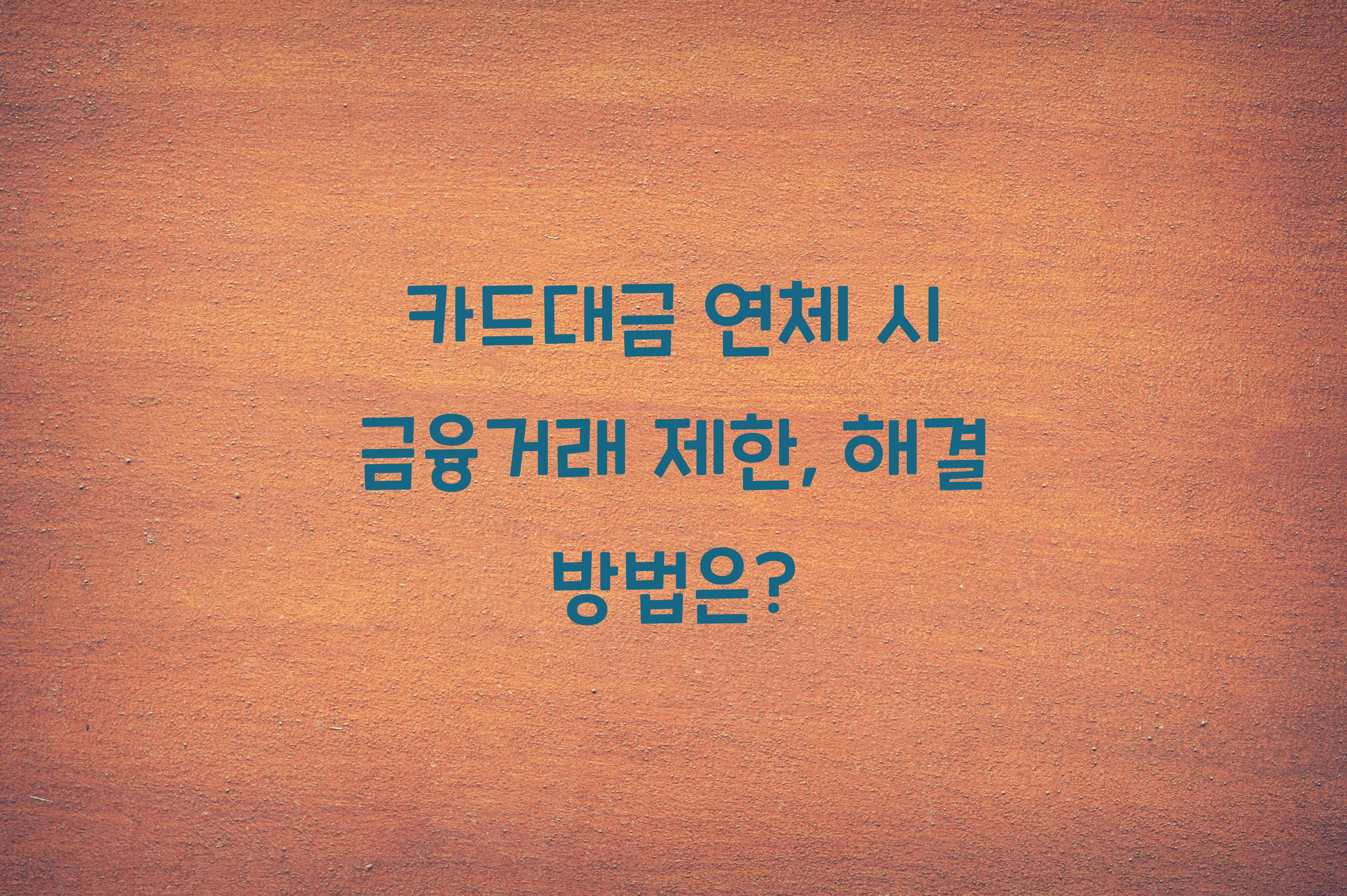 카드대금 연체 시 금융거래 제한