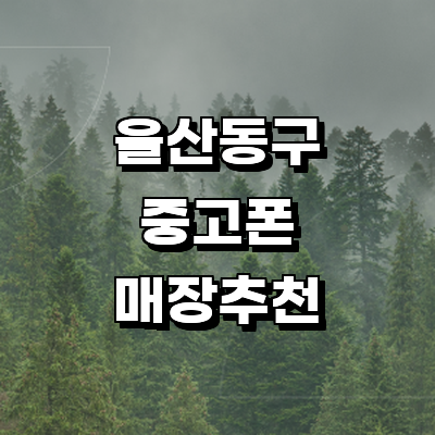 울산 동구 중고폰