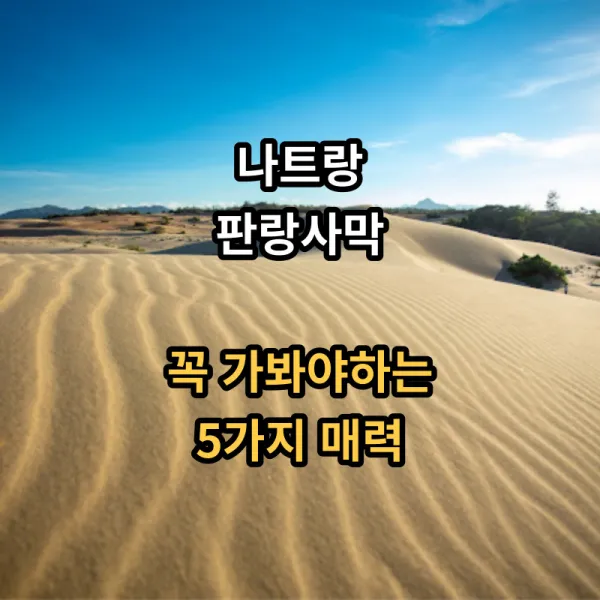 사막이-아름다운-판랑사막-입니다