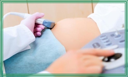 태아 초음파 사진 보는법 용어까지 알아봐요