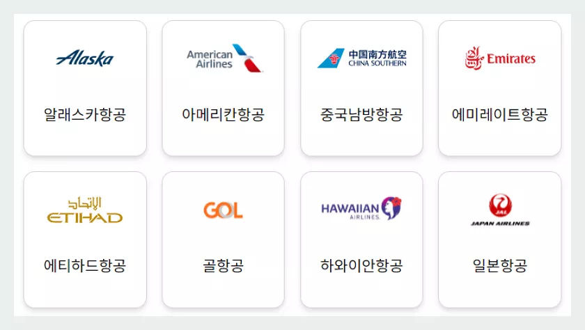 스카이팀 기타 제휴항공사