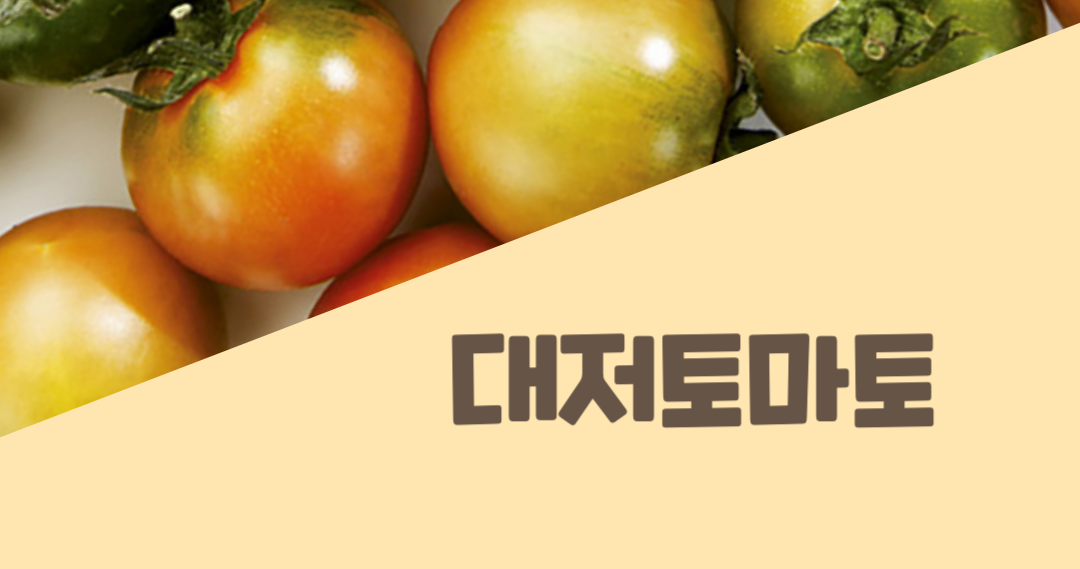 대저토마토제철