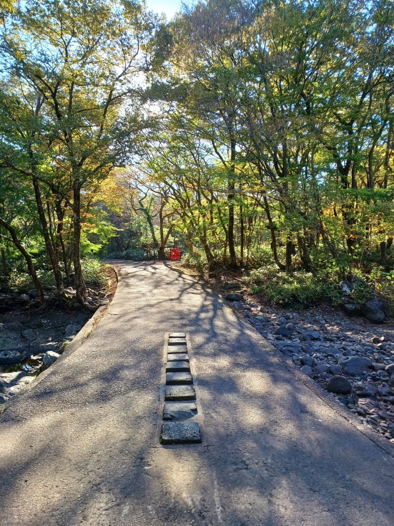 사려니숲길 힐링코스