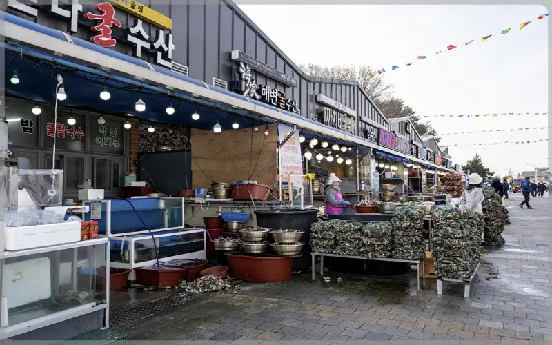 천북 굴 단지, 굴 축제_1