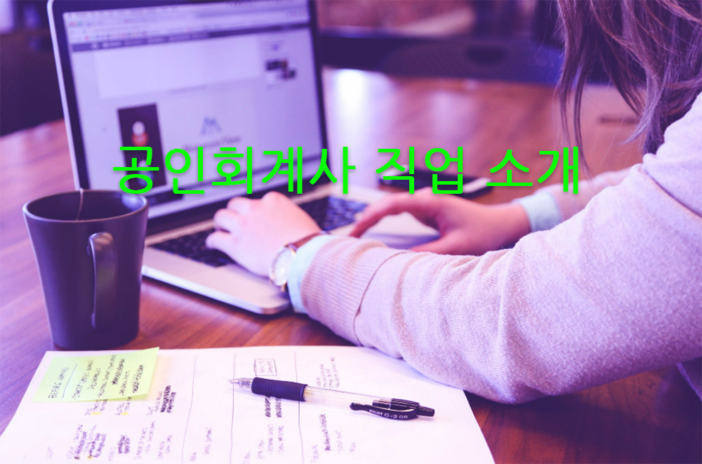 공인회계사직업소개