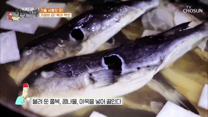 굿모닝대한민국라이브 가성비 갑 복어백반 복찜 복불고기 복국 생복탕 쫄복탕 충남 보령 맛집 위치