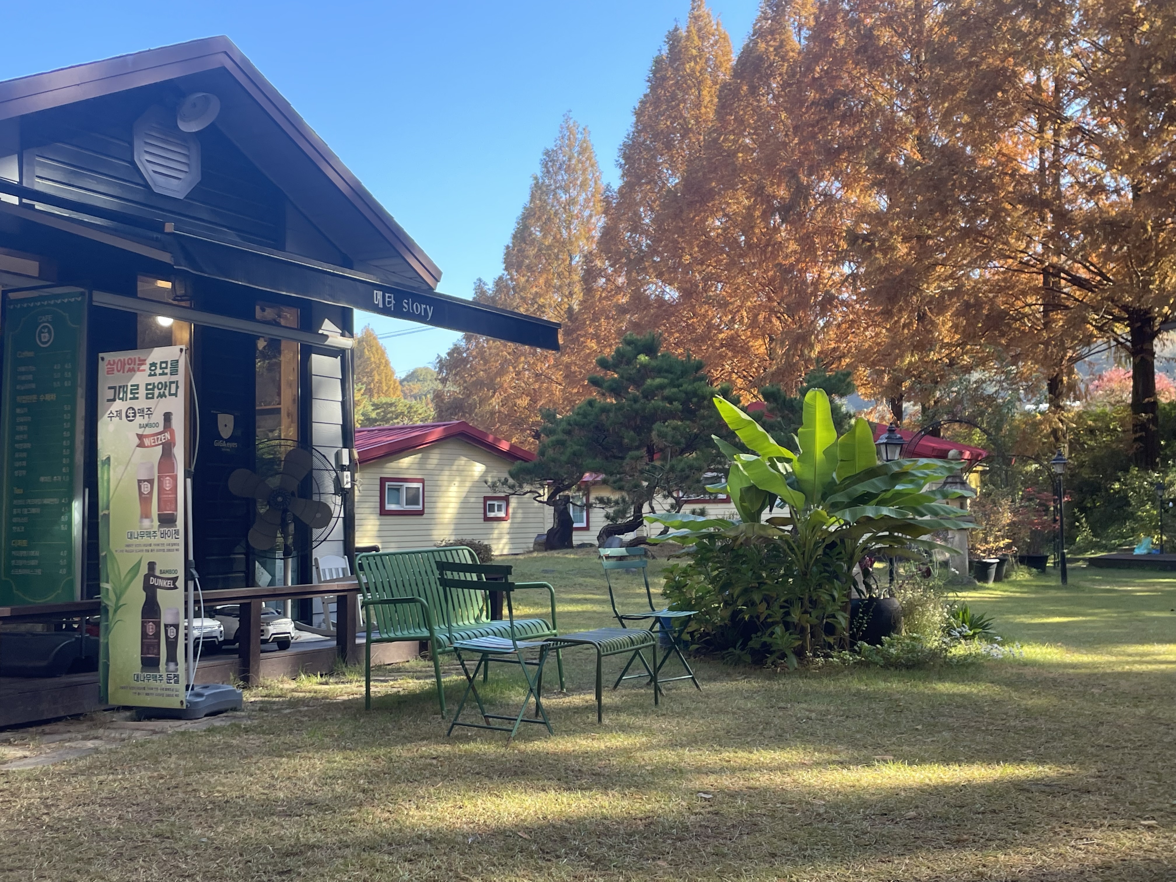 메타세쿼이이아길 옆 카페