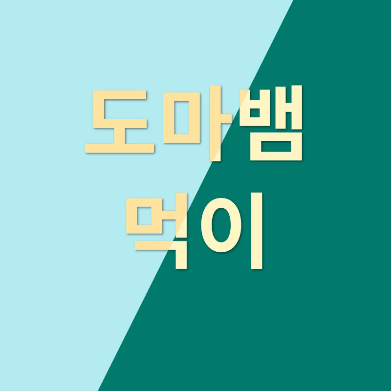 도마뱀 사육_3