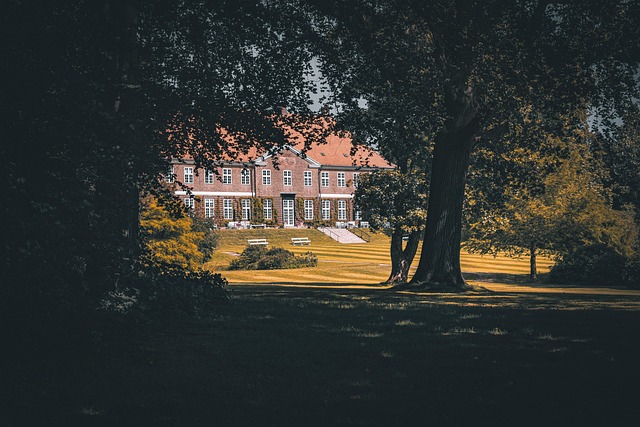 배우자 상속세 폐지 현실화될까? 핵심 쟁점 정리