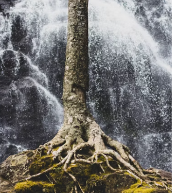 근저당 설정이란