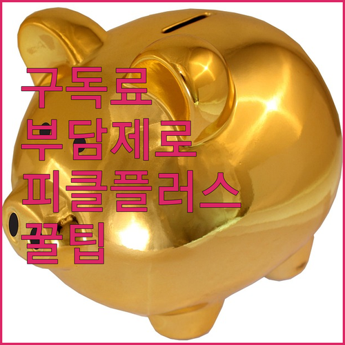 OTT 구독료 부담 피클플러스로 절반..