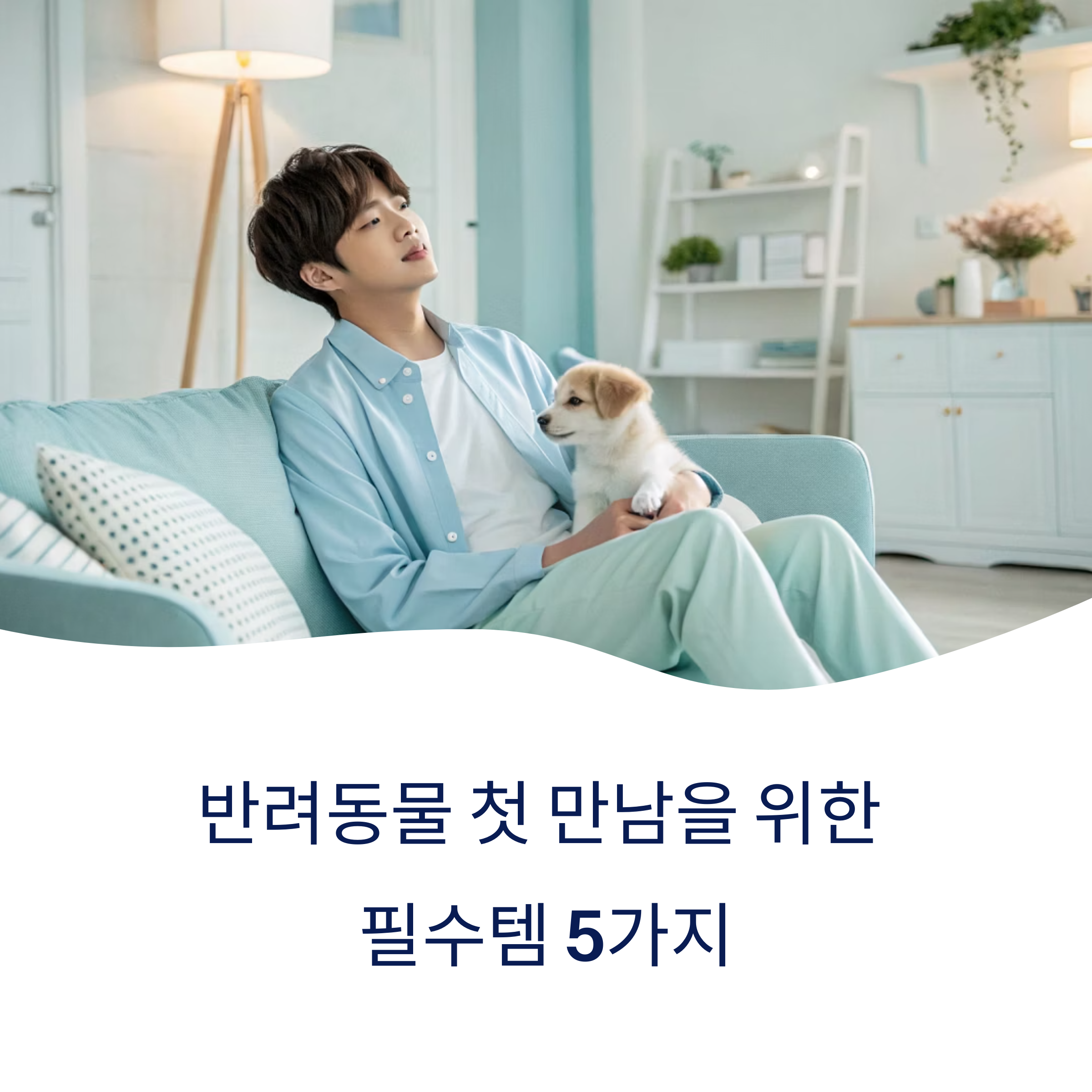 헛돈 쓰지 마세요! 반려동물 첫 만남을 위한 기본템 추천