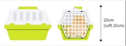 반려견외 애완 동물 비행기탑승비용