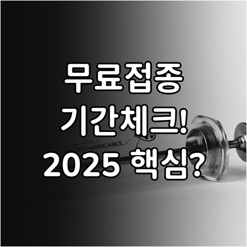 2024 2025년 인플루엔자 무료 ..