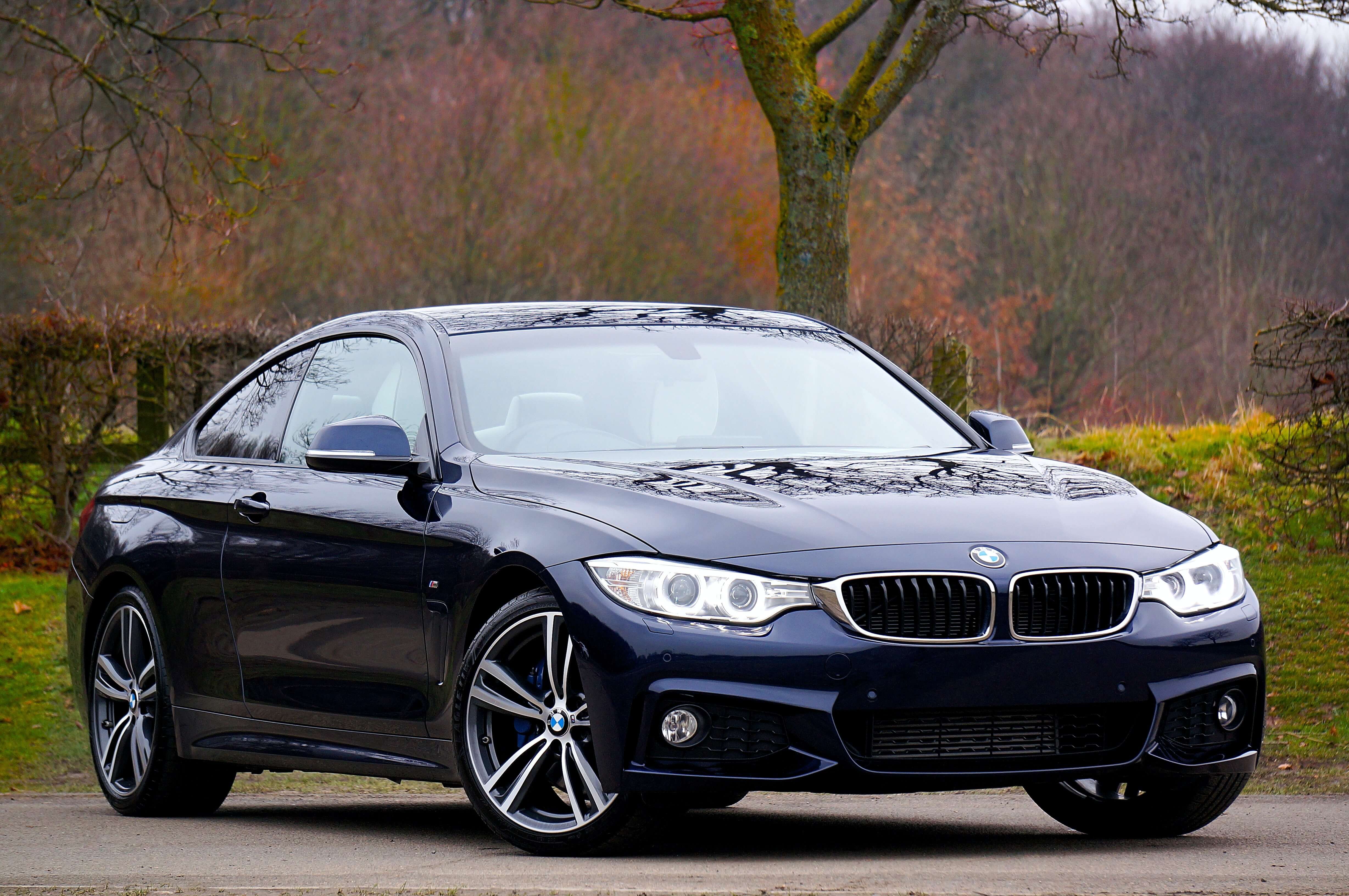 BMW중고차