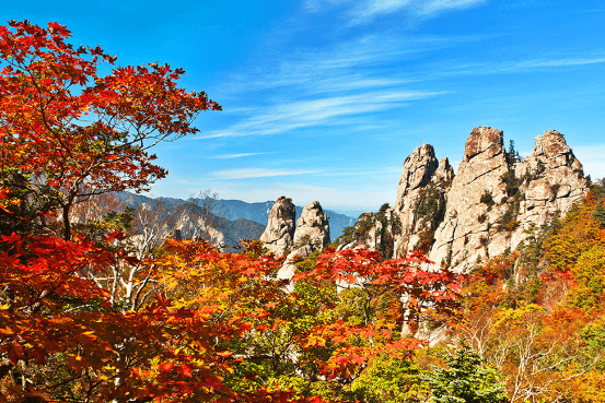 2024 설악산 단풍시기와 탐방코스 및 예약 방법