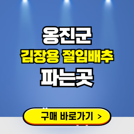 옹진군 절임배추 사전예약 구입하는곳 ❘ 김장배추 파는곳 가격보기