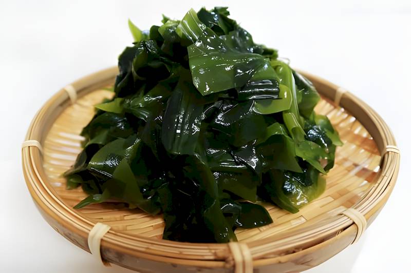 스페인식 미역 수프 관련 사진